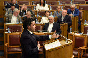 Skupština pustila Vladu da radi šta hoće