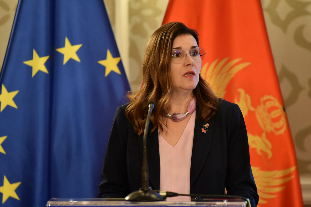 Šefica Delegacije EU u Crnoj Gori Oana Kristina Popa, Foto: Boris Pejović