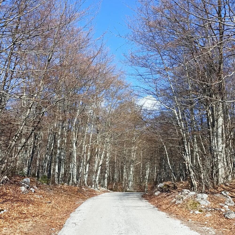 <p>"U dopisu Sektarijata navodi se da se lokalitet nalazi u blizini visoravni Lukavica koja je predložena opštinskim planovima da bude zaštićeno prirodno dobro kao predio izuzetnih odlika"</p>