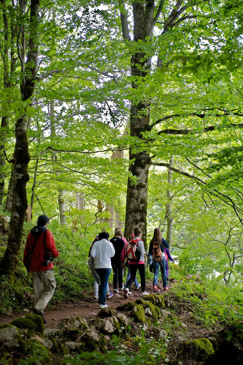 <p>Prošetajte edukativnim, planinarskim i pješačkim stazama, upoznajte jedinstven svijet izvorne ljepote, bogate kulturne baštine i atraktivne turističke ponude.</p>