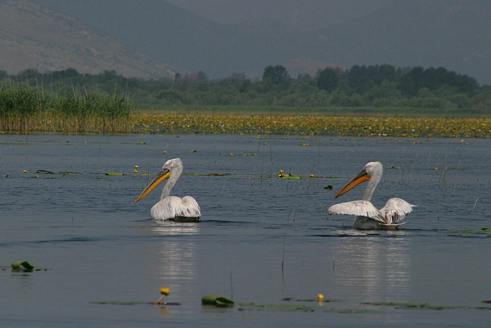 <p>Prošetajte edukativnim, planinarskim i pješačkim stazama, upoznajte jedinstven svijet izvorne ljepote, bogate kulturne baštine i atraktivne turističke ponude.</p>