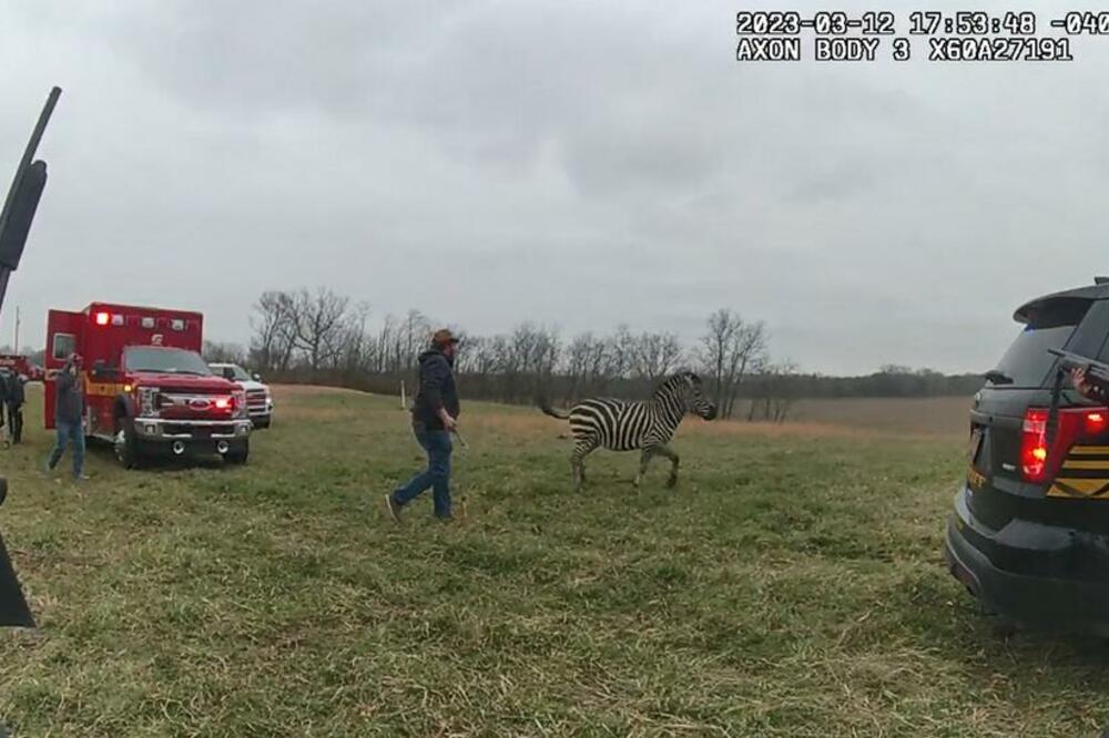 Detalj akcije, Foto: Pickaway County Sheriff's Office