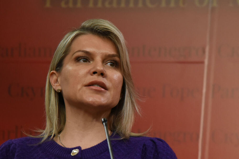 Otkad je ljubav prema svojoj zemlji nacionalizam: Draginja Vuksanović Stanković, Foto: Luka Zekovic