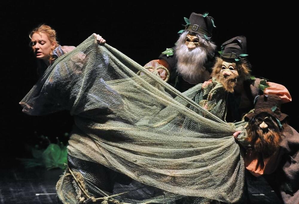 Zorana Milošaković Tasić