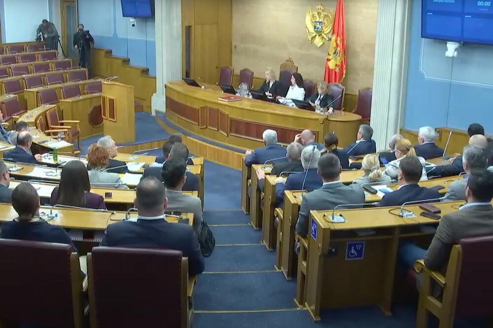 Sa sjednice, Foto: Youtube/Skupština