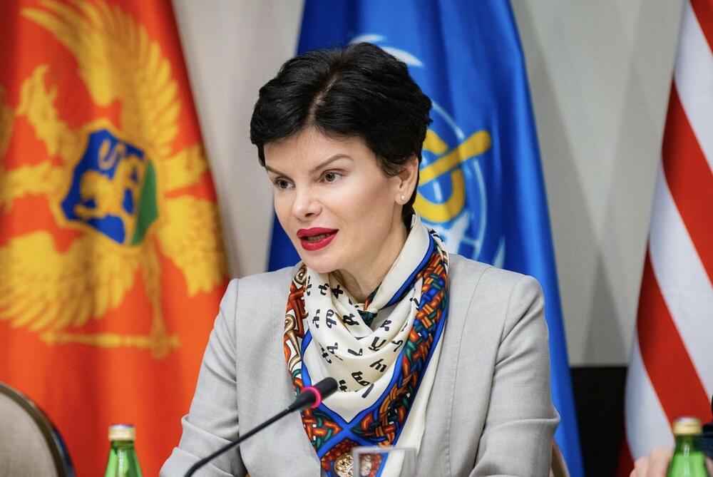 Inicirala raspravu pred dva skupštinska odbora: Brajović