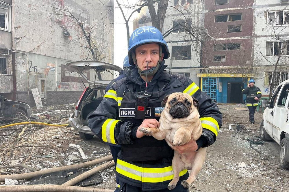 Spasilac nosi psa pronađenog na mjestu stambene zgrade u Zaporožju oštećene ruskim raketnim udarom, Foto: Reuters