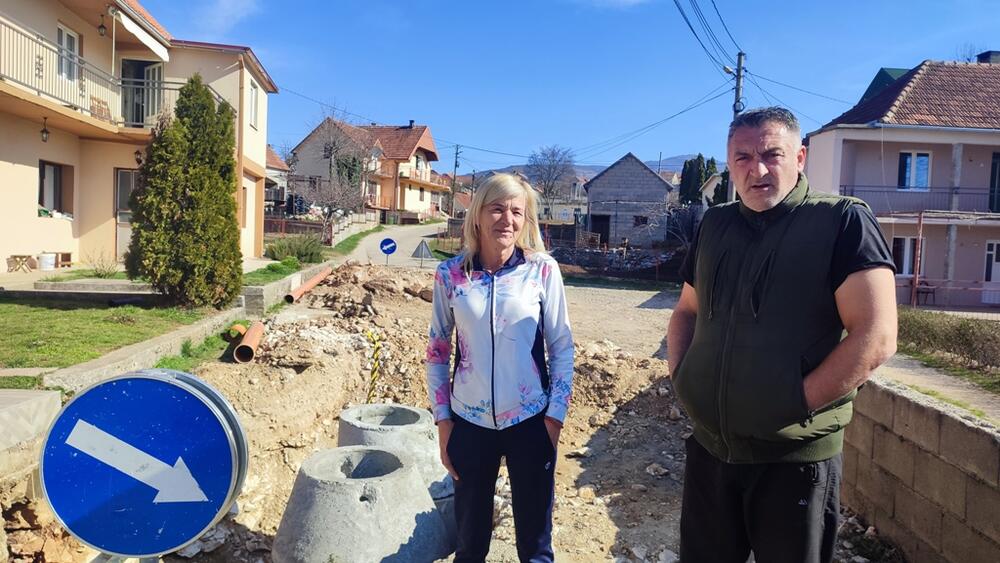 Mićunović i Roganović