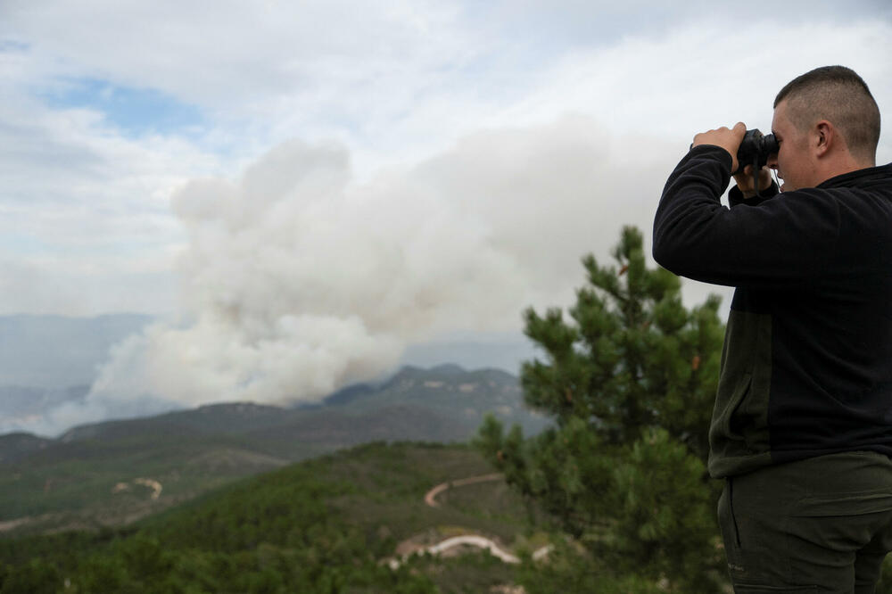 <p>Španija je prošle godine u Evropi najviše pogođena šumskim požarima sa oko 500 požara koji su opustošili više od 300.000 hektara zemlje</p>