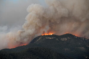 U Španiji prvi veliki šumski požar u sezoni, evakuisano 1.500 ljudi