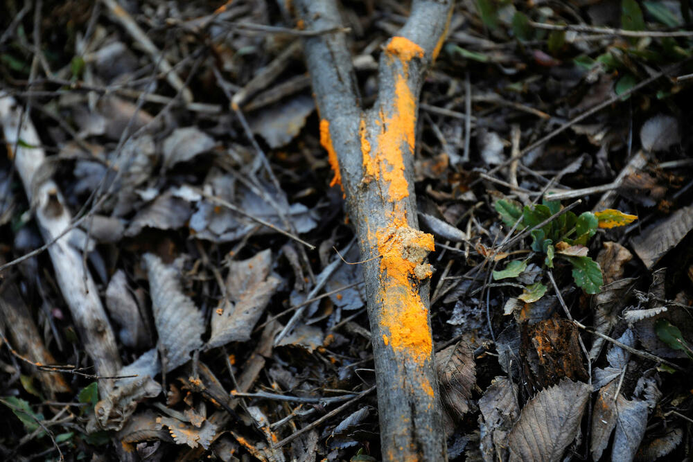 <p>Kada je zemlja bila dio bivše Jugoslavije, bilo je malo ili nimalo pažnje posvećeno tome da li otpad šteti zdravlju ljudi. Ali sada, pošto balkanska nacija ima za cilj da se pridruži Evropskoj uniji, mora da učini više da očisti svoje tlo</p>