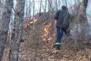 Novi požar u Mojkovcu, vatrogasci najavili da će početi sa...