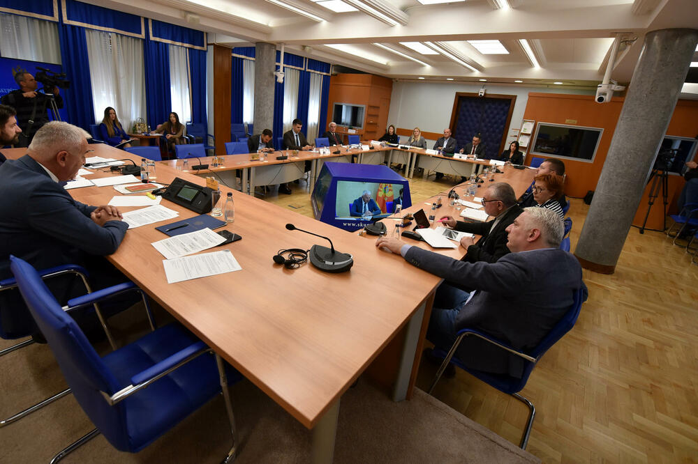 Formulisaće zaključke za nadležne organe: Sa odbora za ekonomiju, Foto: BORIS PEJOVIC
