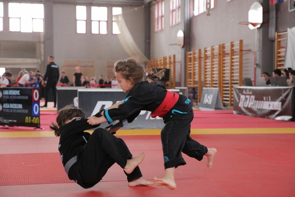 <p>Protkelog vikenda na Turniru AJP Serbia (Abu Dhabi jiu jitsu pro) u Nišu, učesrtvovalo preko 400 takmicara i 32 akademije iz 16 zemalja. Predstavnici Crne Gore su bili iz redova Pitbull Jiu jitsu Montenegro akademije i osvojili su 6 zlatnih, 5 srebrenih i 4 bronzane medalje dok su ekipni plasman završili su na 6 mjestu kao akademija, a Crna Gora je zauzela 4 mjesto kao nacija od ukupno 16.</p>