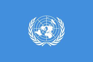 Zakašnjela pomoć Siriji: UN sprovode istragu protiv UN?