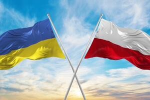 Ukrajina naručila od Poljske 100 oklopnih vozila, plaćaju EU i SAD