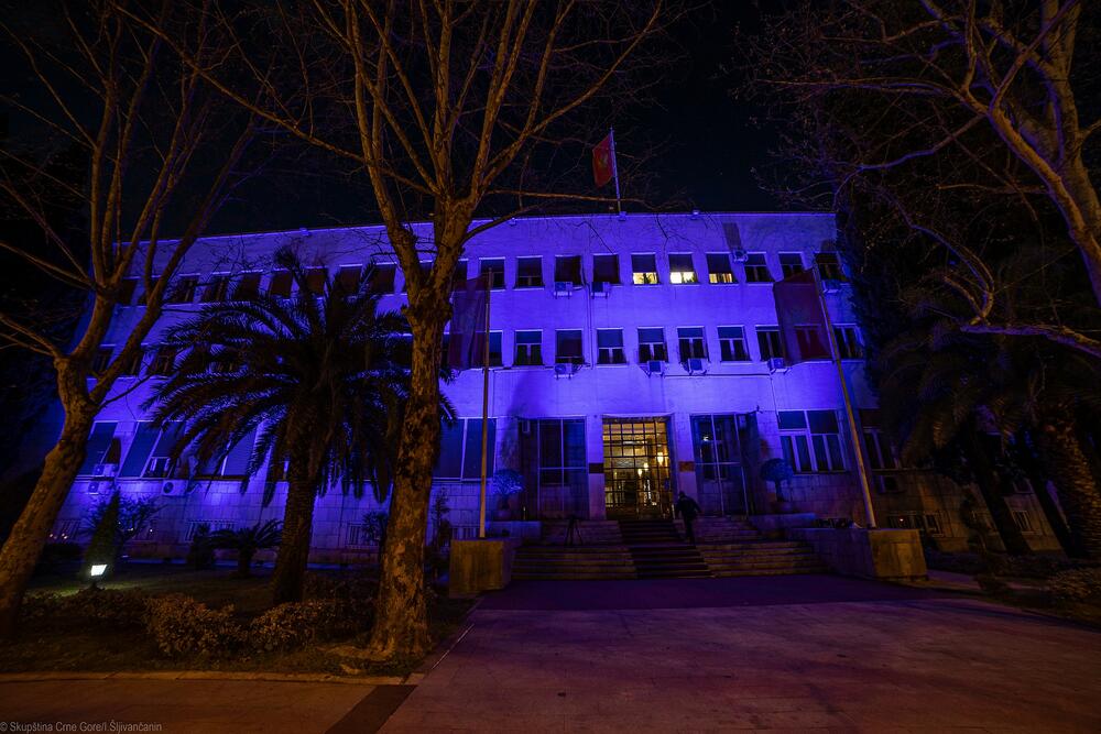 Skupština plava boja