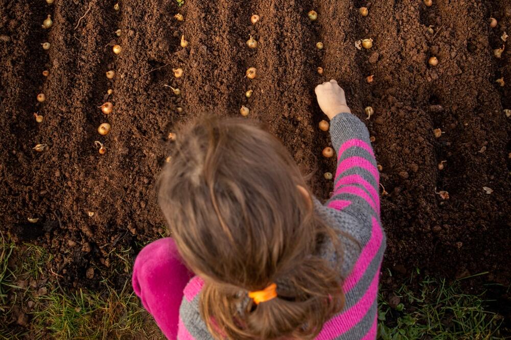 Prva nagrada od 250 eura pripala je Radonji Srdanoviću, Foto: Ministarstvo poljoprivrede, šumarstva i vodoprivrede