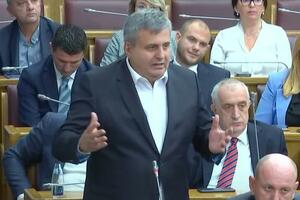 Radunović: Do izbora se suzdržati od usvajanja novih inicijativa...
