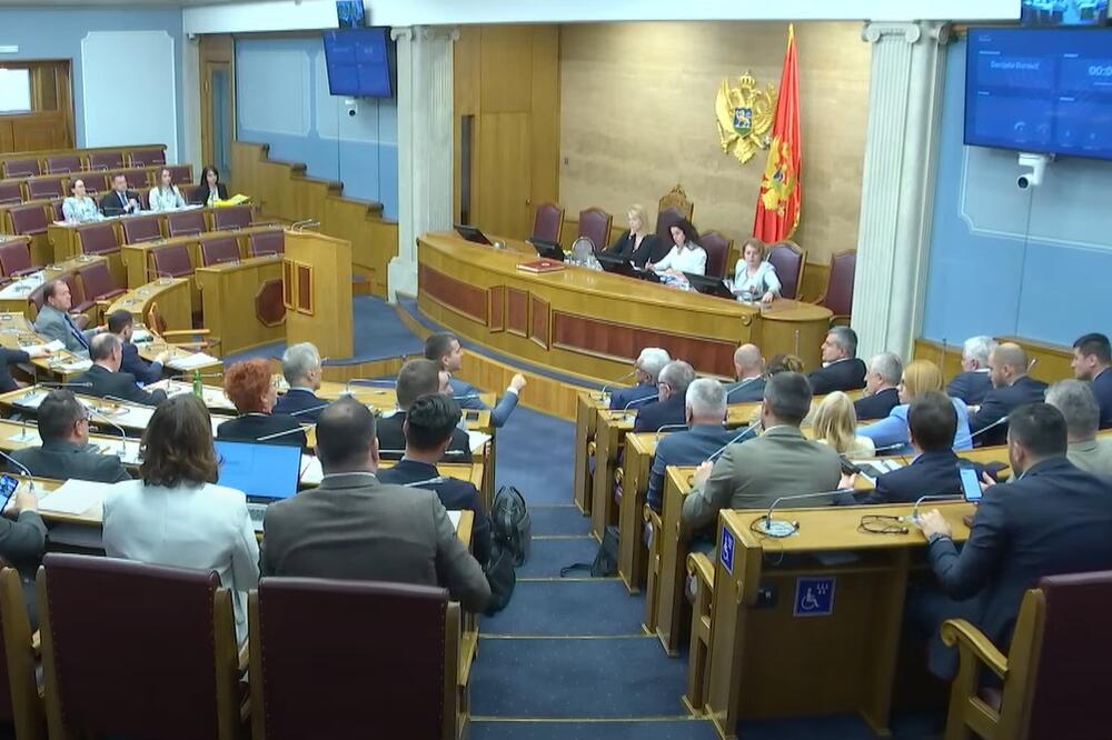 Sa sjednice, Foto: Skupština/Youtube