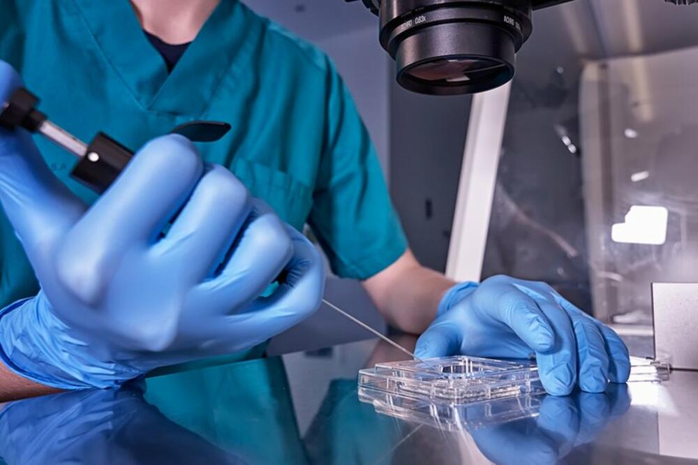 Svjetska zdravstvena organizacija poziva na bolji pristup tretmanima za neplodnost u zemljama širom svijeta, Foto: Getty Images