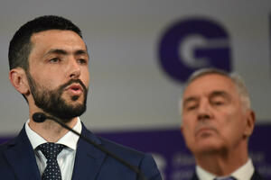 Živković: Vjerujemo da će državni organi moći više da kažu o...