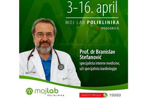Prof. dr Branislav Stefanović, stručnjak intenacionalne reputacije...