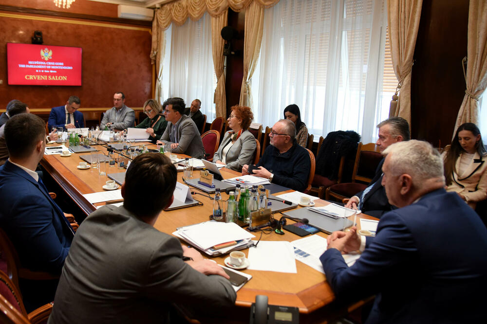 Zatražili raspravu pred Odborom za ekonomiju: Sa ranije sjednice odbora, Foto: BORIS PEJOVIC