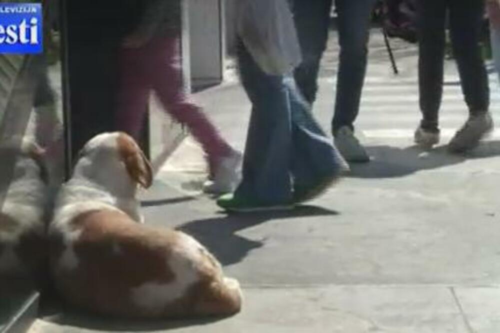 Detalj iz Nikšića, Foto: Printscreen/TV Vijesti