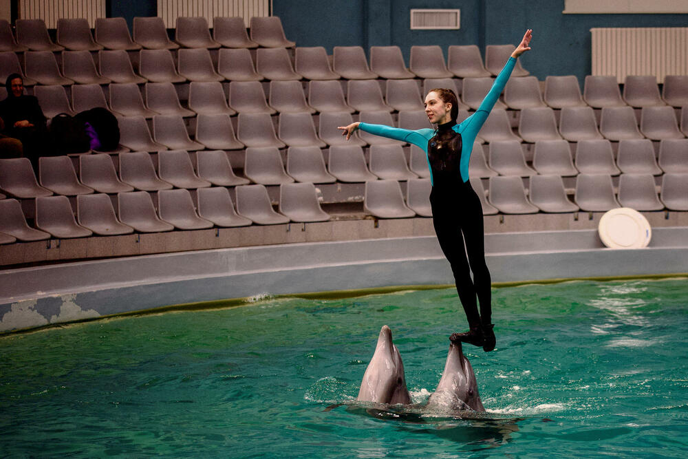 Eva Leontijeva, ukrajinska trenerica delfina, nastupa sa dva delfina u delfinarijumu u Konstanci, Rumunija, 4. aprila.