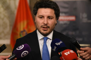 Abazović: The government proposed a "mafia law", Spajić, Milović and more...