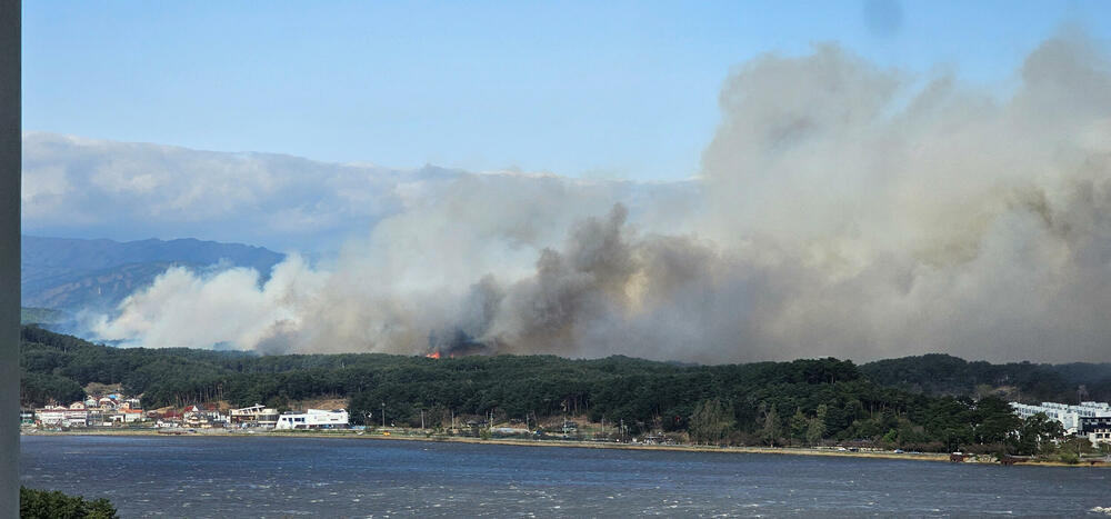 <p>Najmanje 44 kuće su uništene u požaru</p>
