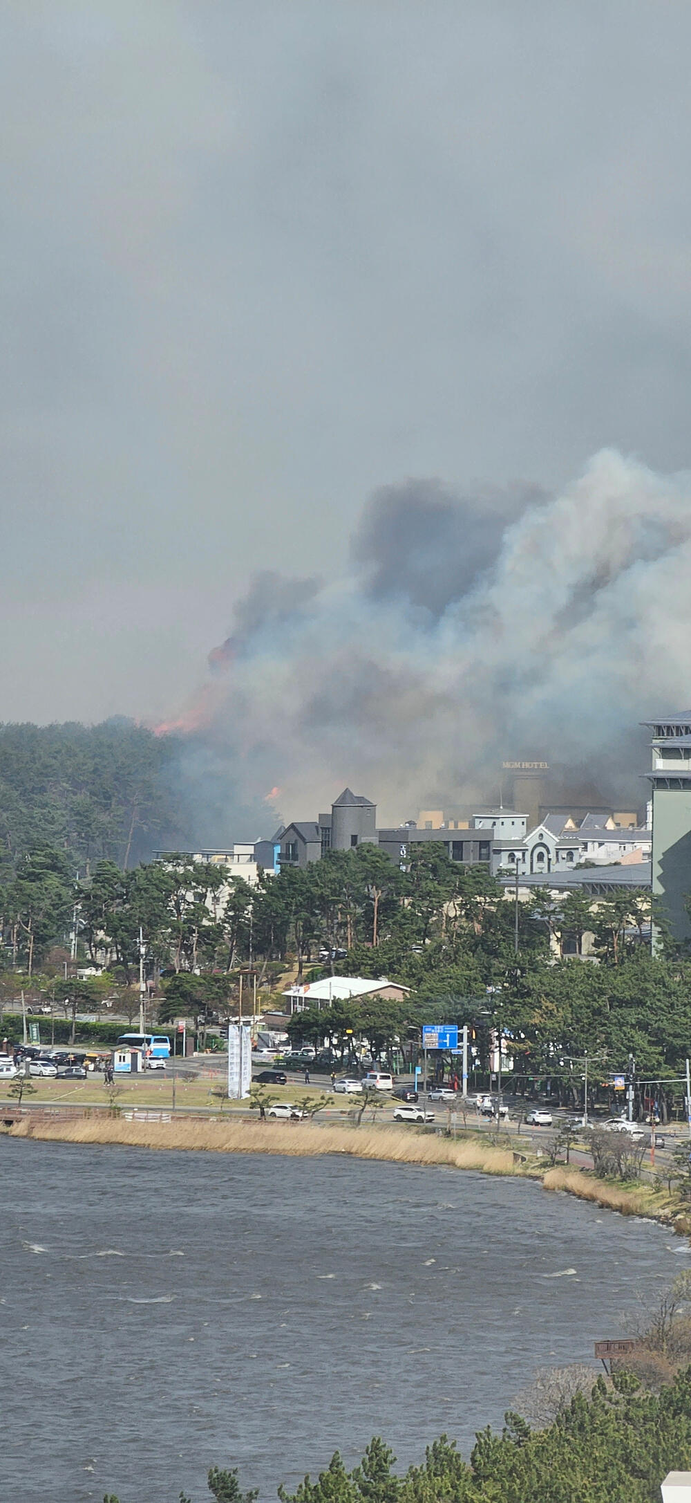 <p>Najmanje 44 kuće su uništene u požaru</p>