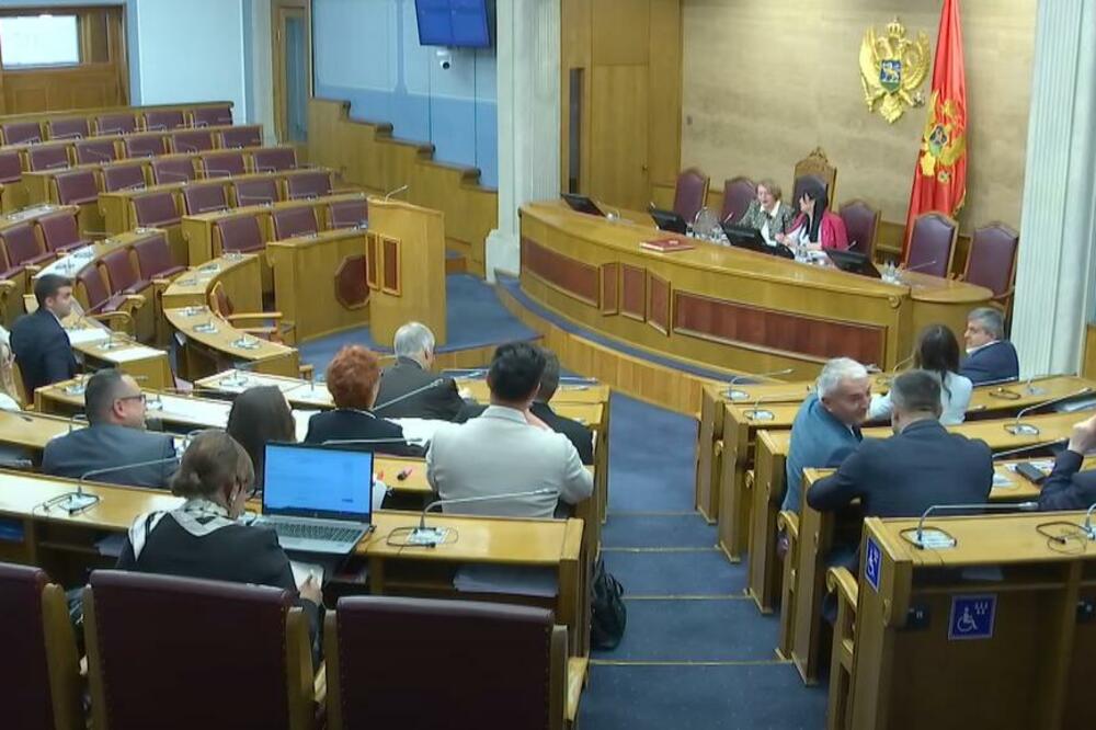 Sa sjednice Skupštine, Foto: Prinscreen/Youtube/Skupština Crne Gore