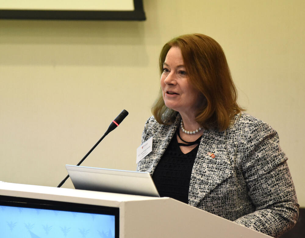 Džudi Rajzing Rajnke