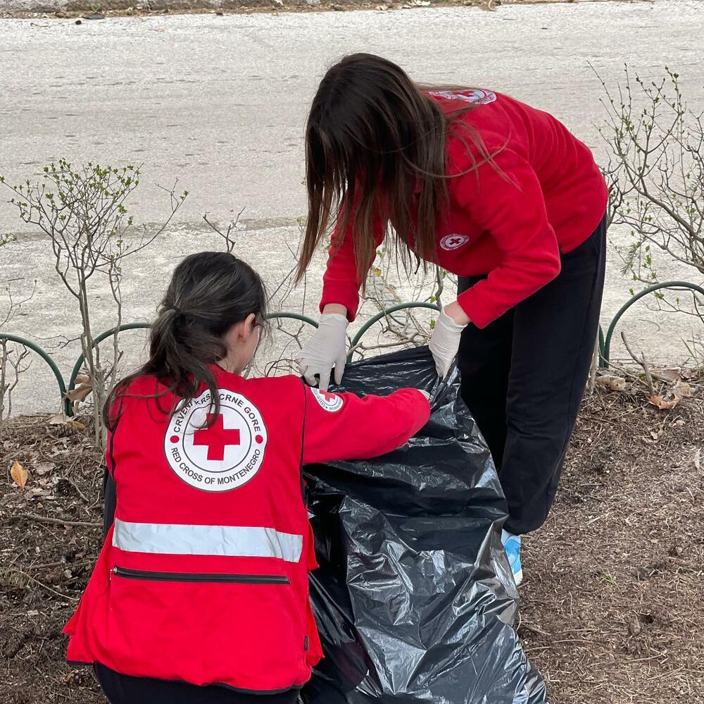 Sređivanje dvorišta