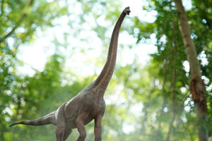 Naučnici potvrdili tragove dinosaurusa u jednom restoranu u Kini