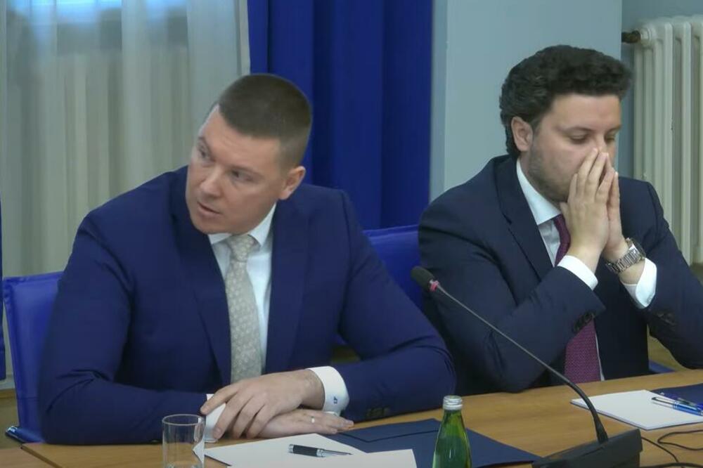 Adžić i Abazović na sjednici Odbora, Foto: Printscreen YouTube/Skupština Crne Gore