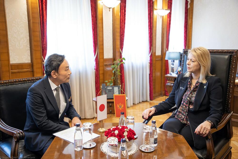 Danijela Đurović, Japan