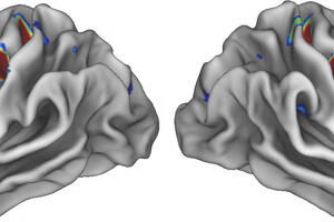 Otkriven nepoznati sistem unutar mozga, veza između uma i tijela