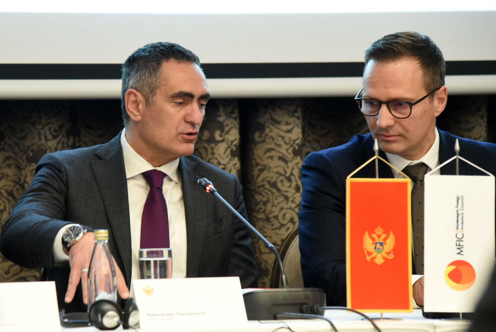 Bijela knjiga predstavljanje