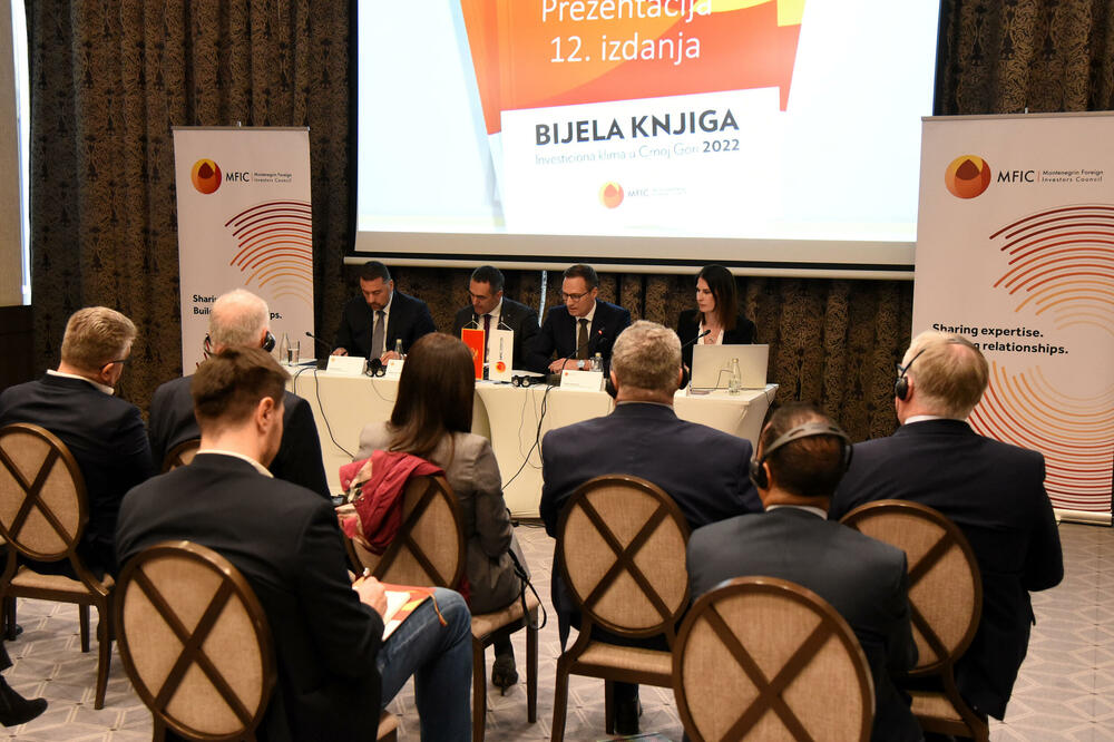 Sa predstavljanja Bijele knjige, Foto: Luka Zeković