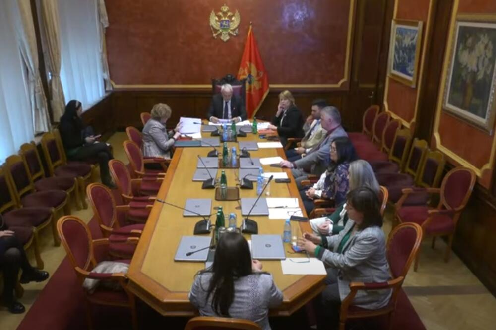 Sa jedne od Sjednica Odbora za prosvjetu, nauku, kulturu i sport, Foto: Skupština Crne Gore