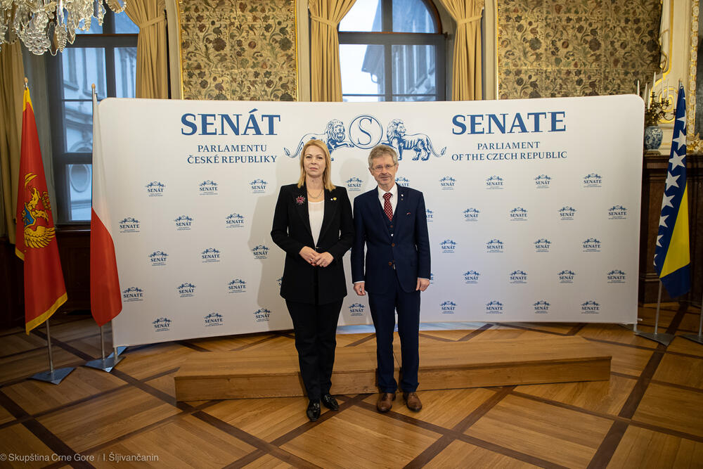 <p>Kako je saopšteno iz Skupštine, Đurović je u Pragu učestvovala na radnom doručku za predsjednike parlamenata zemalja kandidata za članstvo u EU, u okviru kojeg su razmijenjena iskustva o ulozi nacionalnih parlamenata na evropskom putu</p>