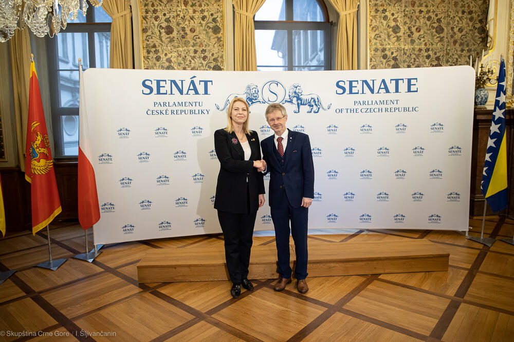 <p>Kako je saopšteno iz Skupštine, Đurović je u Pragu učestvovala na radnom doručku za predsjednike parlamenata zemalja kandidata za članstvo u EU, u okviru kojeg su razmijenjena iskustva o ulozi nacionalnih parlamenata na evropskom putu</p>