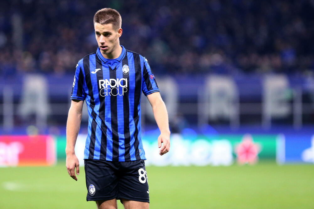 Pašalić, Foto: Shutterstock