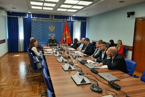 Utvrđen Nacrt izmjena zakona o sprečavanju korupcije; Grdinić:...