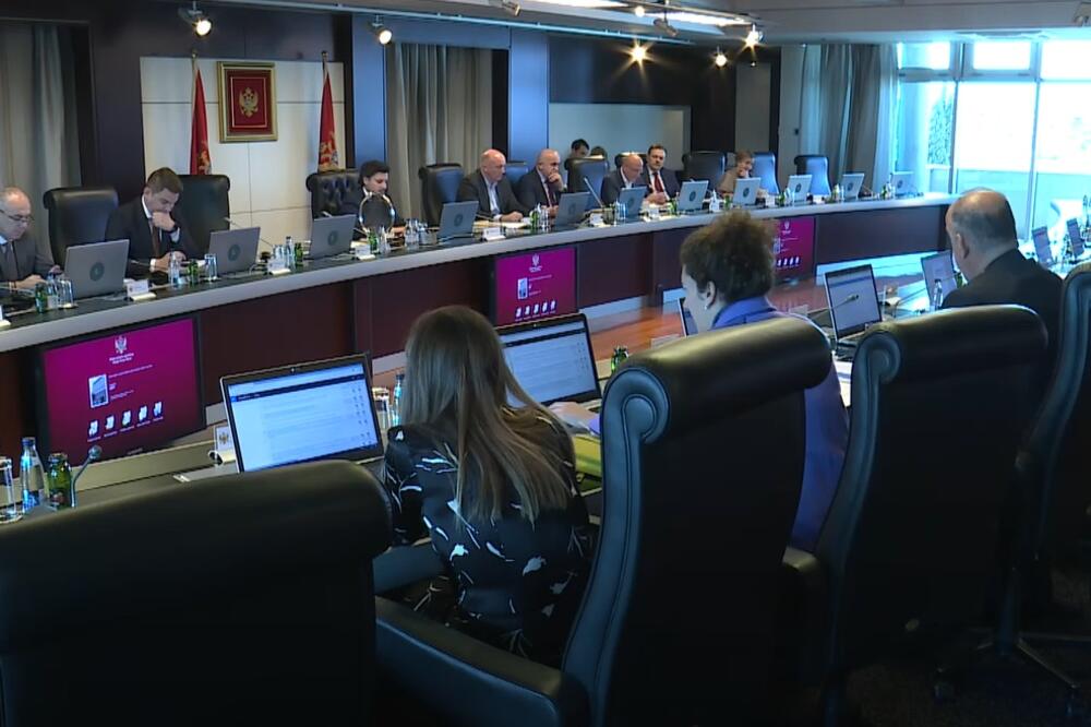 Sa sjednice, Foto: Vlada/Youtube