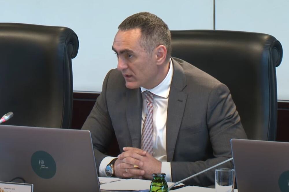 Damjanović, Foto: Vlada/Youtube