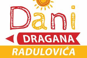 Romanu "Mika" Jelene Angelovski nagrada „Dragan Radulović“